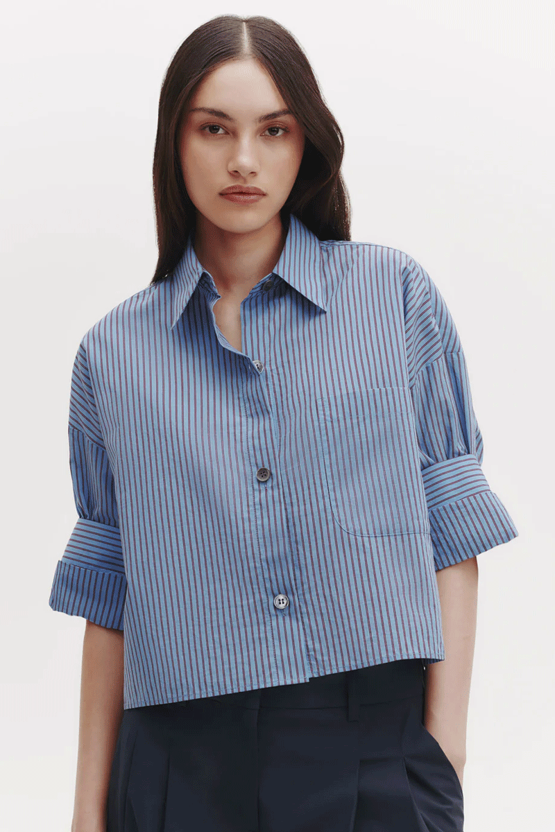 Next Ex Shirt in Striped Cotton -  Blue/Wine